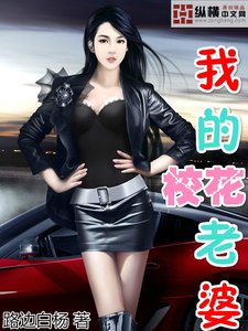 超级高手艳遇记/超级高手都市行/我的校花老婆